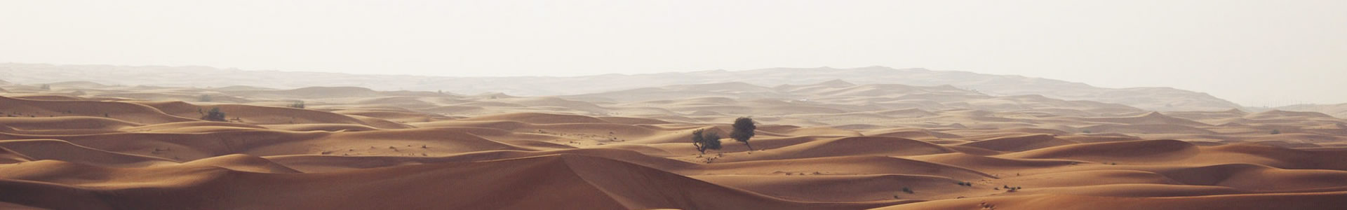 ԾԶԴƼ޹˾